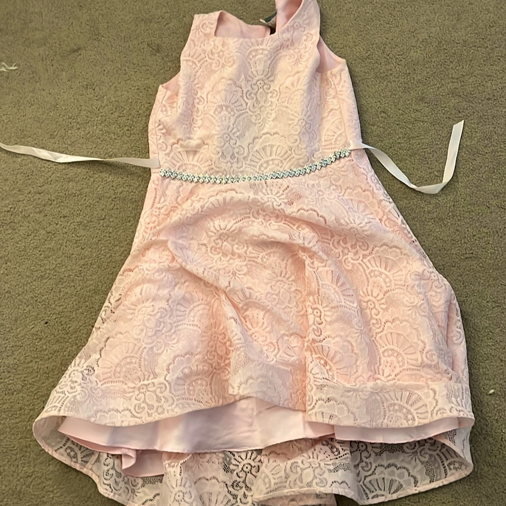 Pink Jewel Dress